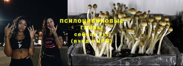 шишки Алексин