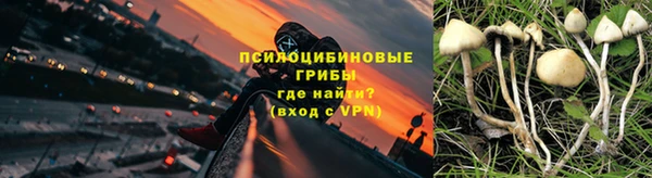 гидра Алексеевка