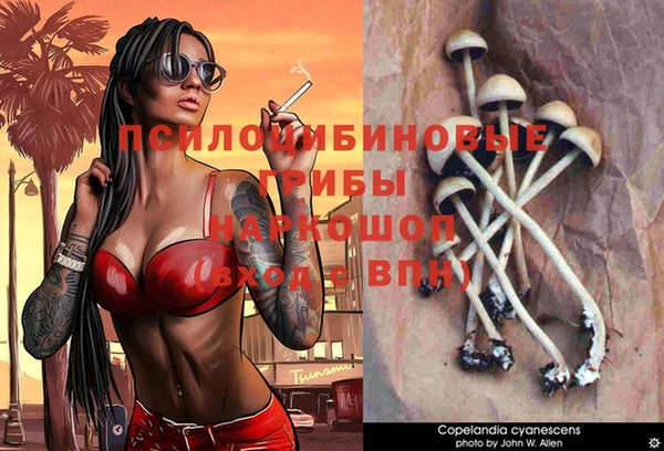 мет Алзамай