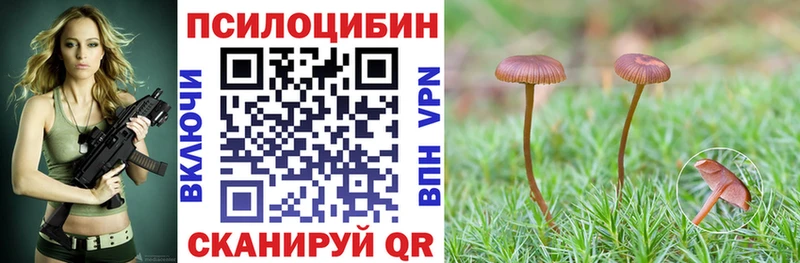 Галлюциногенные грибы Psilocybine cubensis  Евпатория 