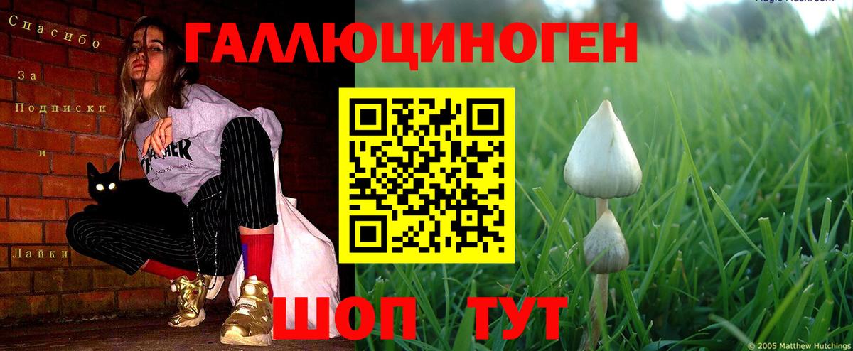 Псилоцибиновые грибы мухоморы  Вход с VPN  где продают   Евпатория  Псилоцибиновые грибы Psilocybe 